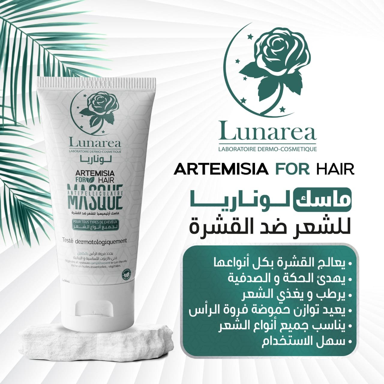 2025/08/1000089766.jpg Masque Artemisia Anti-Pelliculaire - قناع ارتيميسا ضد القشرة – Image 4