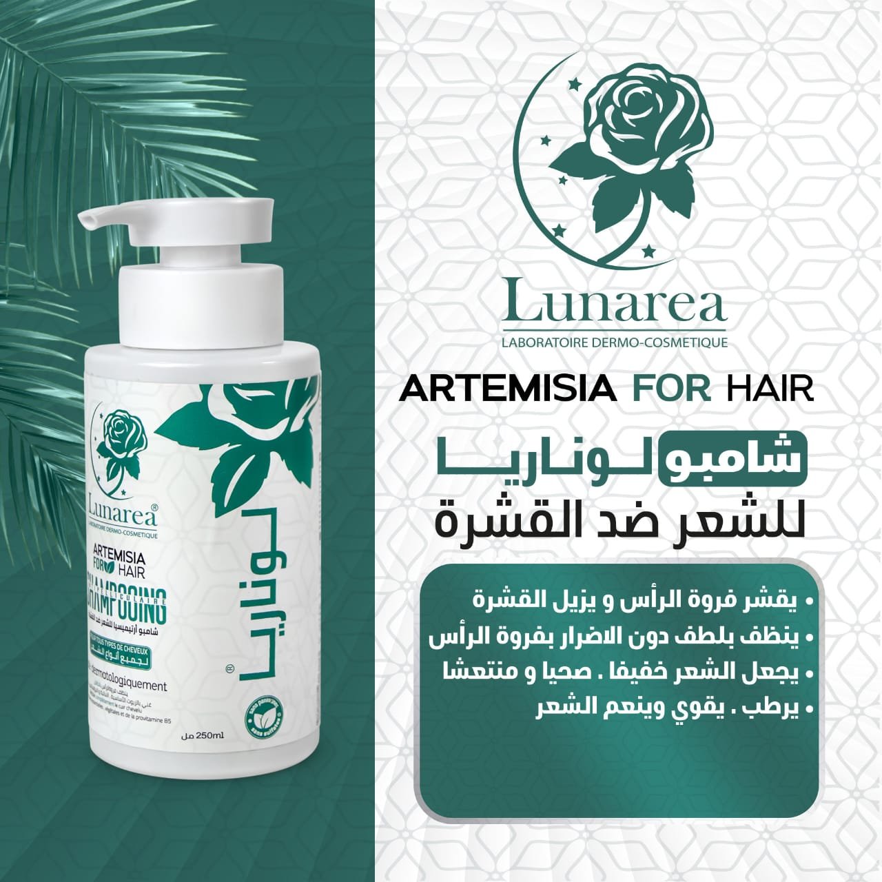 2025/08/1000089772.jpg Shampoing Artemisia Anti-Pelliculaire شامبو ارتيميسيا ضد القشرة – Image 2