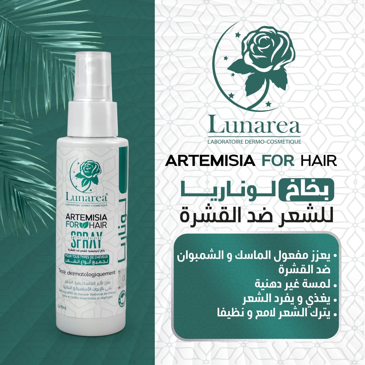 2025/08/1000089775.jpg Spray Artemisia Anti-Pelliculaire بخاخ ارتيميسيا ضد القشرة – Image 2