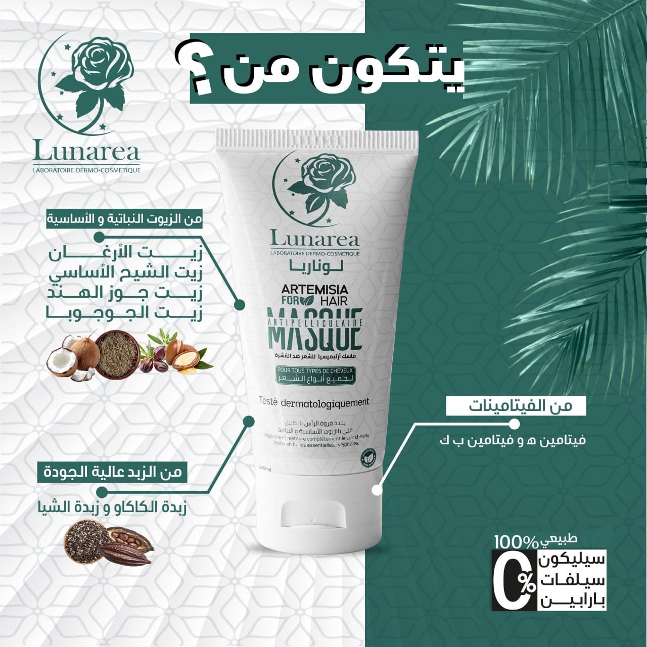 2025/08/1000089787.jpg Masque Artemisia Anti-Pelliculaire - قناع ارتيميسا ضد القشرة – Image 3