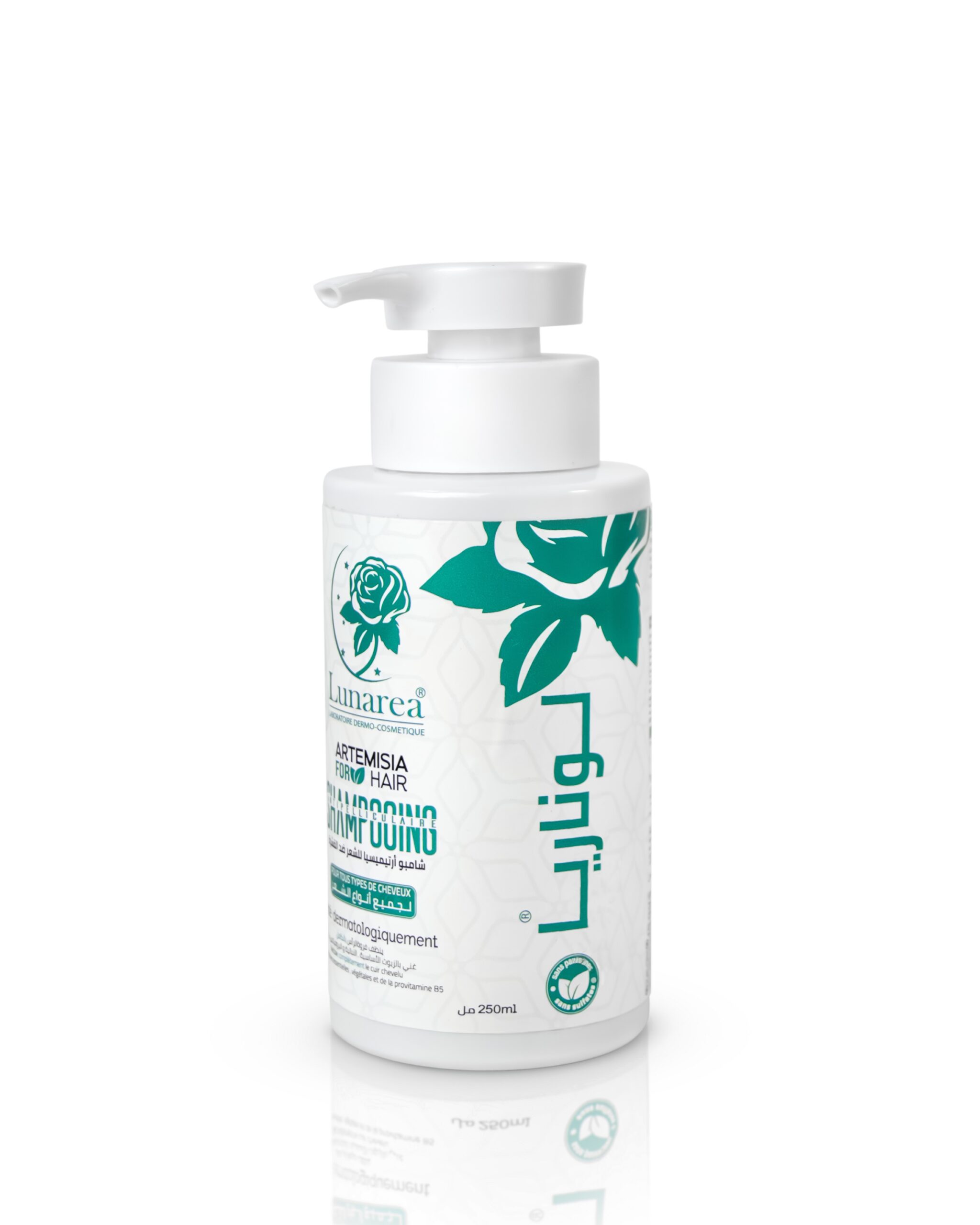 img_1050 Shampoing Artemisia Anti-Pelliculaire شامبو ارتيميسيا ضد القشرة